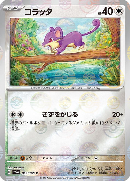 Rattata (Poke Ball Pattern) (019/165) (SV2a: Pokemon Card 151)