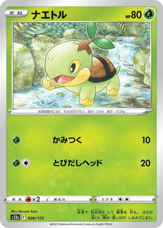 Image for Turtwig - Pokemon Japan