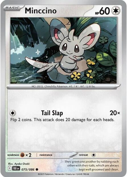 Minccino (075/086) [SV: Black Bolt]