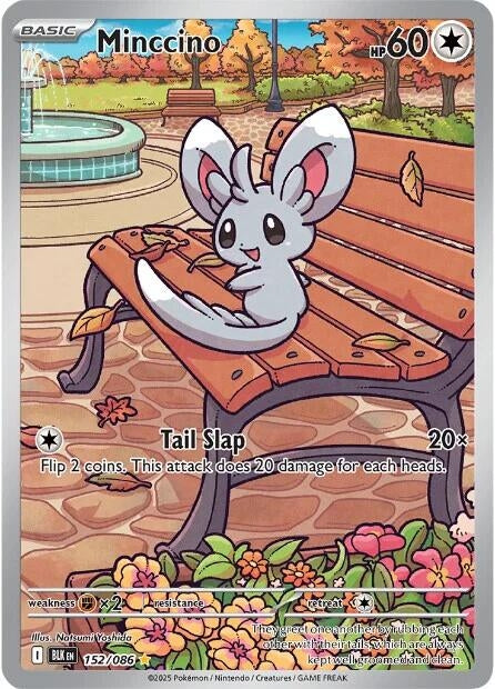 Minccino (152/086) [SV: Black Bolt]