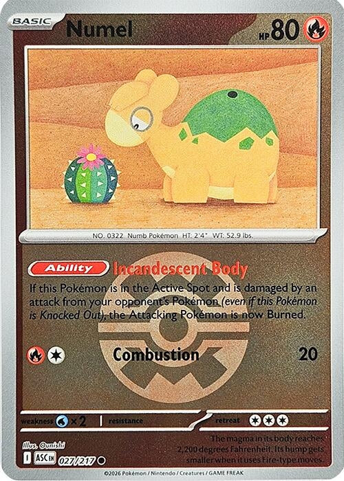 Image for Numel - 027/217 (Quick Ball) (027/217) (ME: Ascended Heroes) - Pokemon