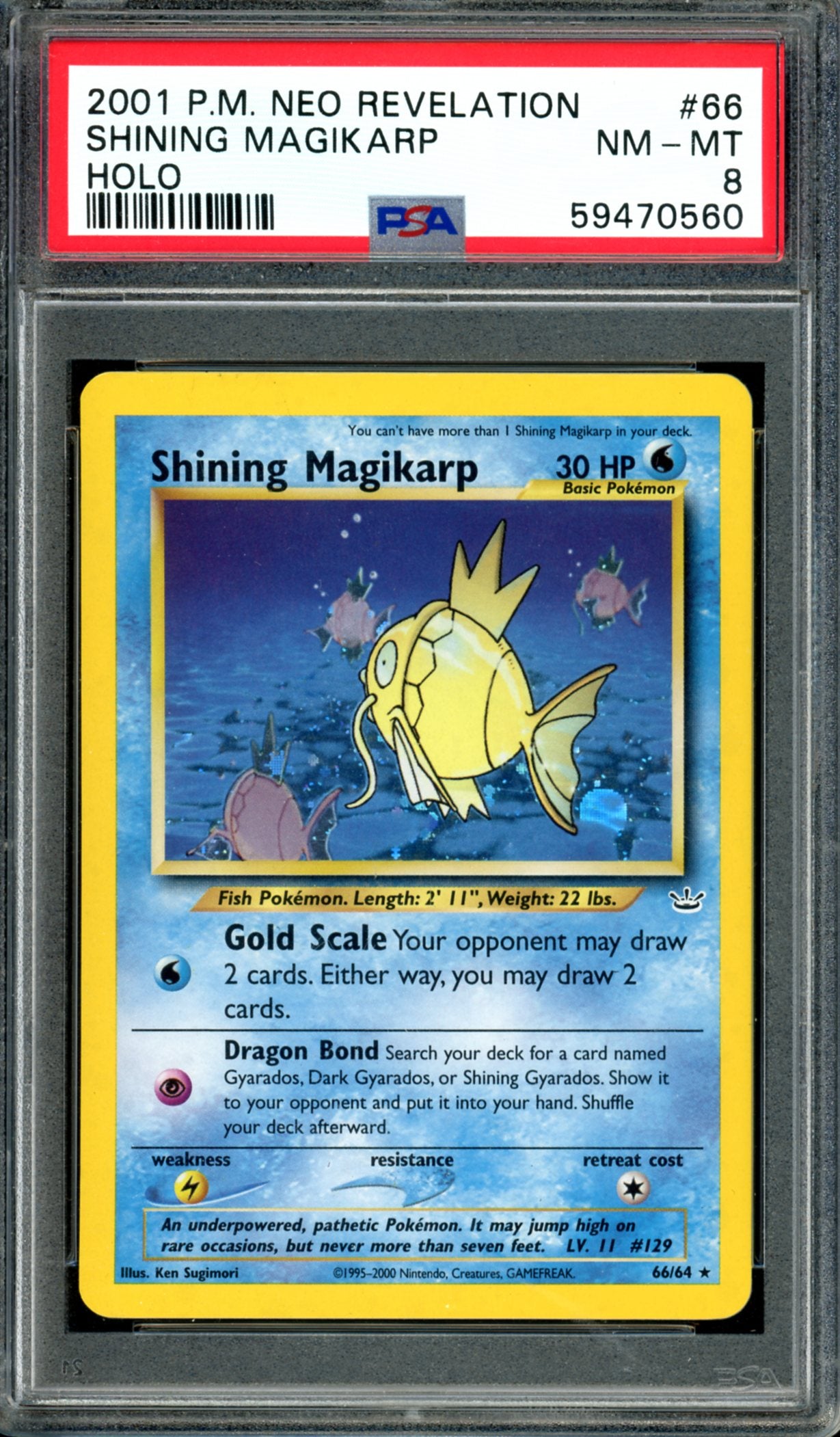 PSA 8 Shining Magikarp (66/64) [Neo Revelation]