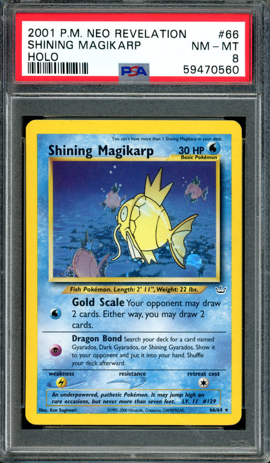 PSA 8 Shining Magikarp (66/64) [Neo Revelation]