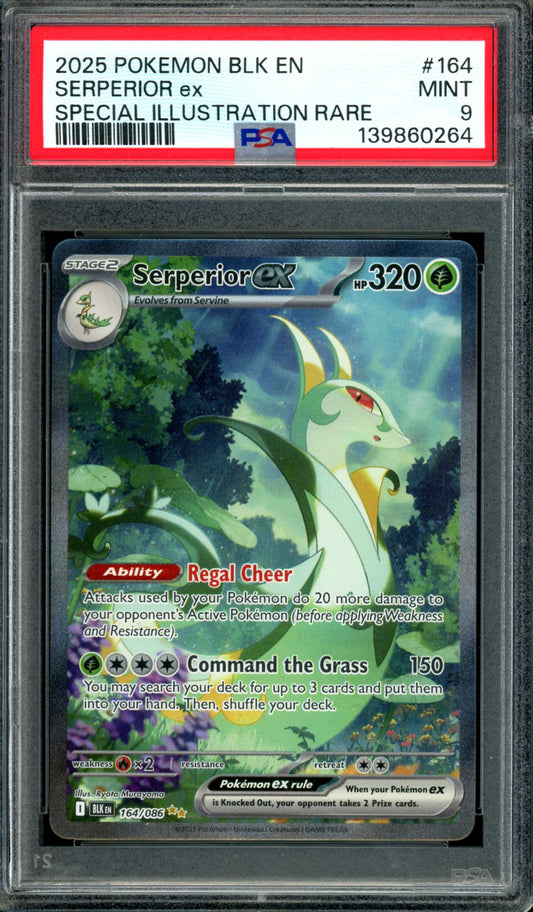 PSA 9 Serperior EX (164/086) [Black Bolt]