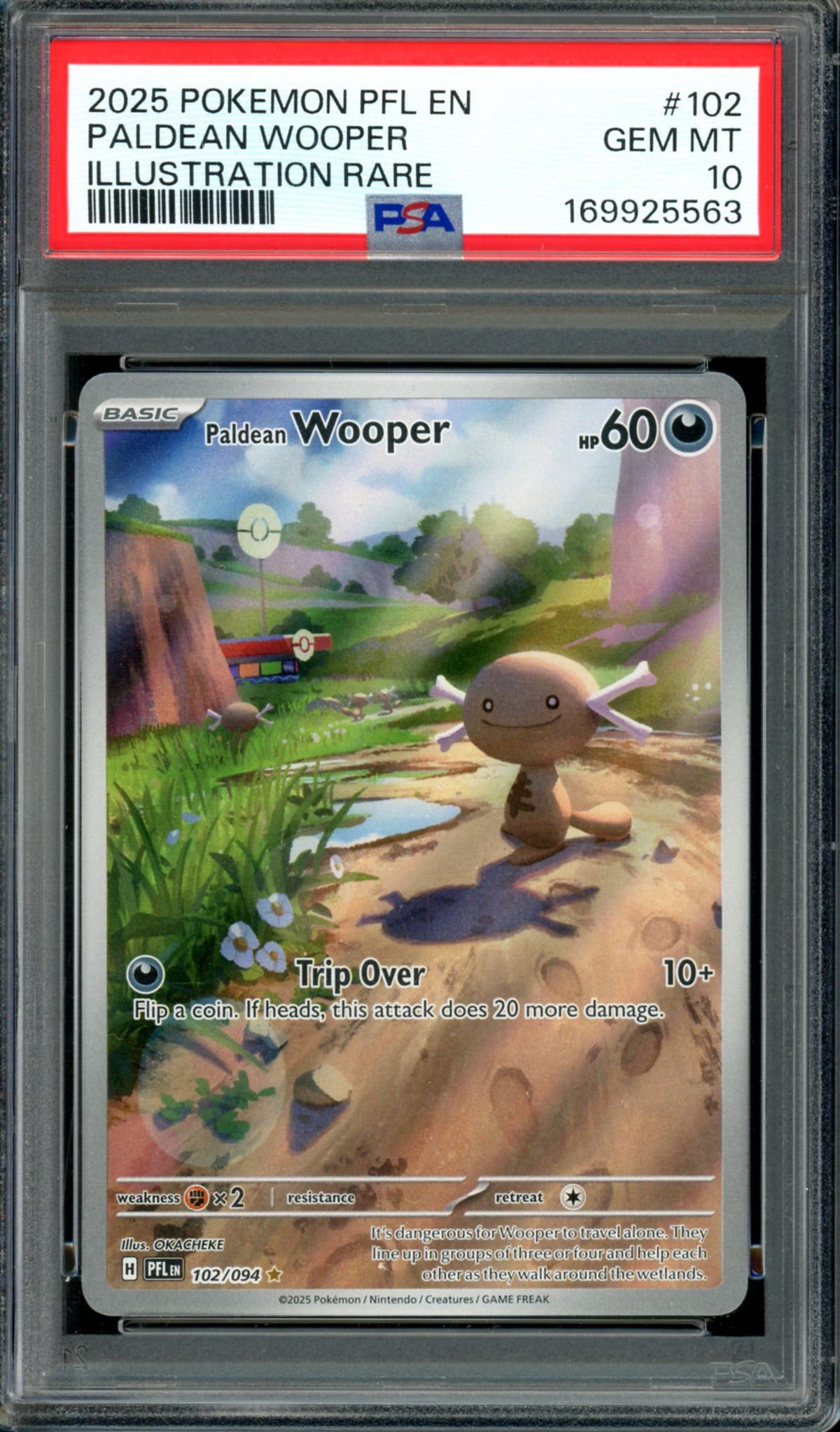 PSA 10 Paldean Wooper (102/094) [Phantasmal Flames)