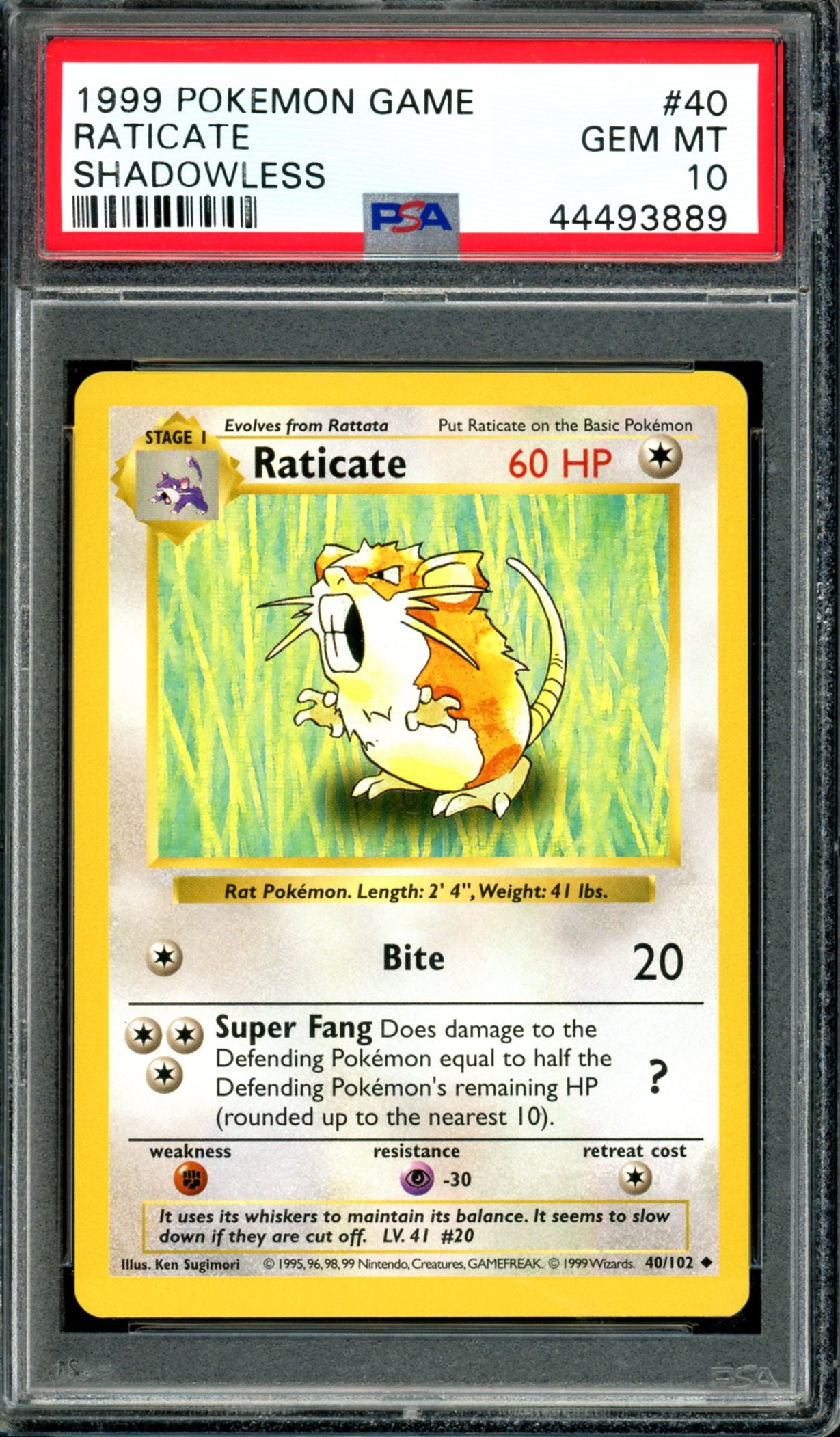 PSA 10 Shadowless Raticate (40/102) [Base Set]