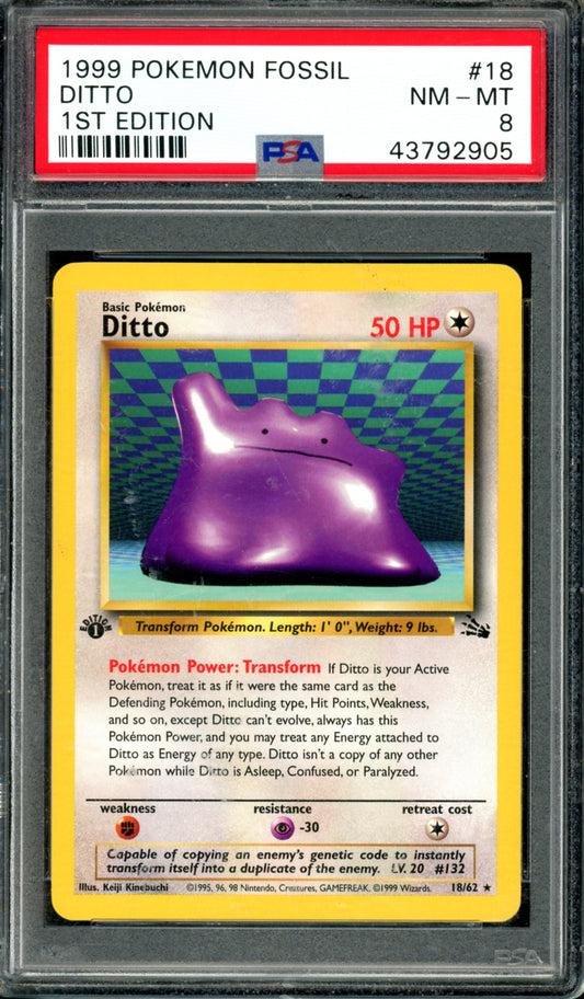 PSA 8 1st Edition Ditto (18/62) [Fossil]