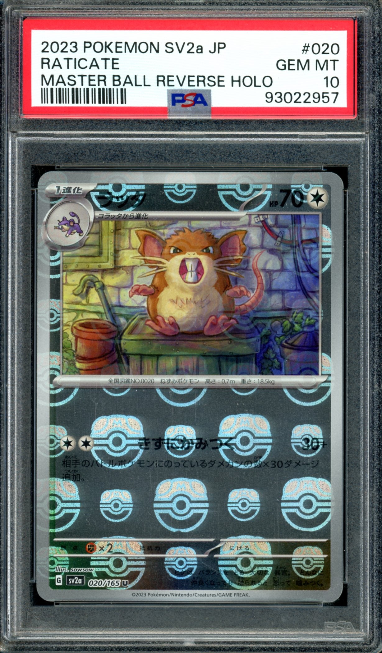 PSA 10 Raticate Master Ball (020/165) [Japanese 151]