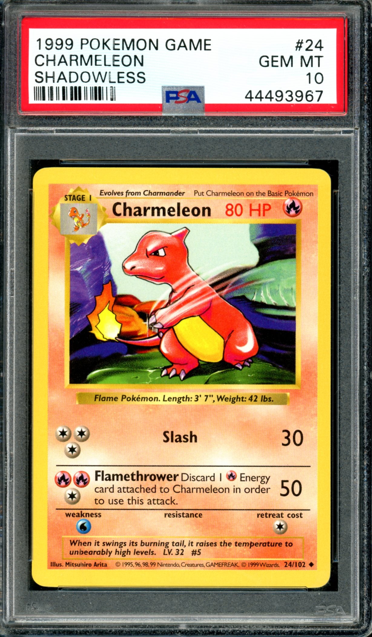 PSA 10 Shadowless Charmeleon (24/102) [Base Set]