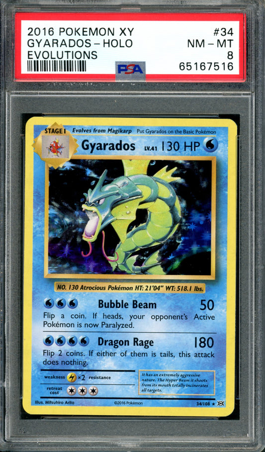 PSA 8 Gyarados (34/108) [Evolutions]