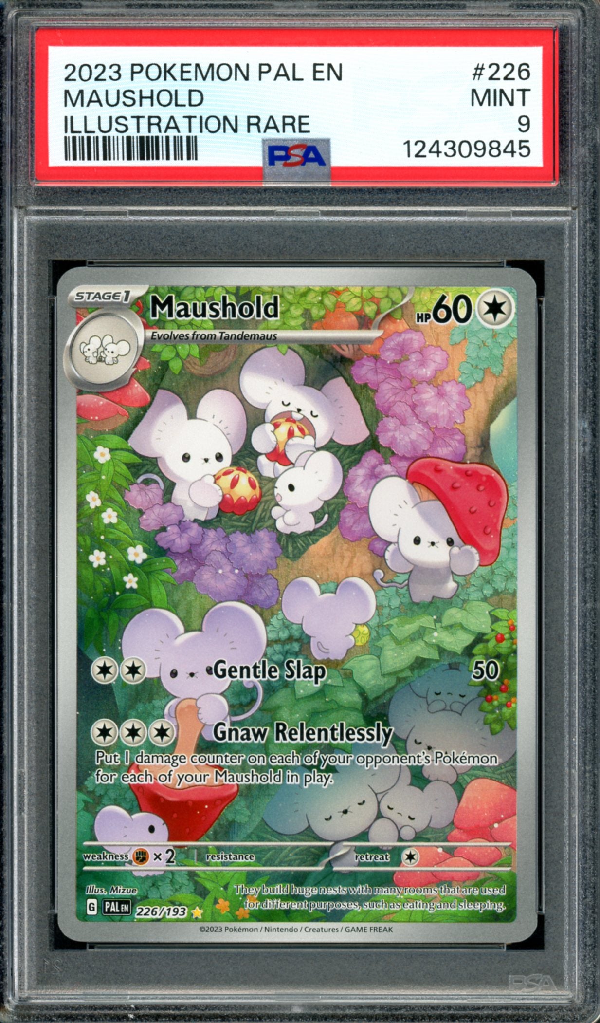 PSA 9 Maushold (226/193) [Paldea Evolved]