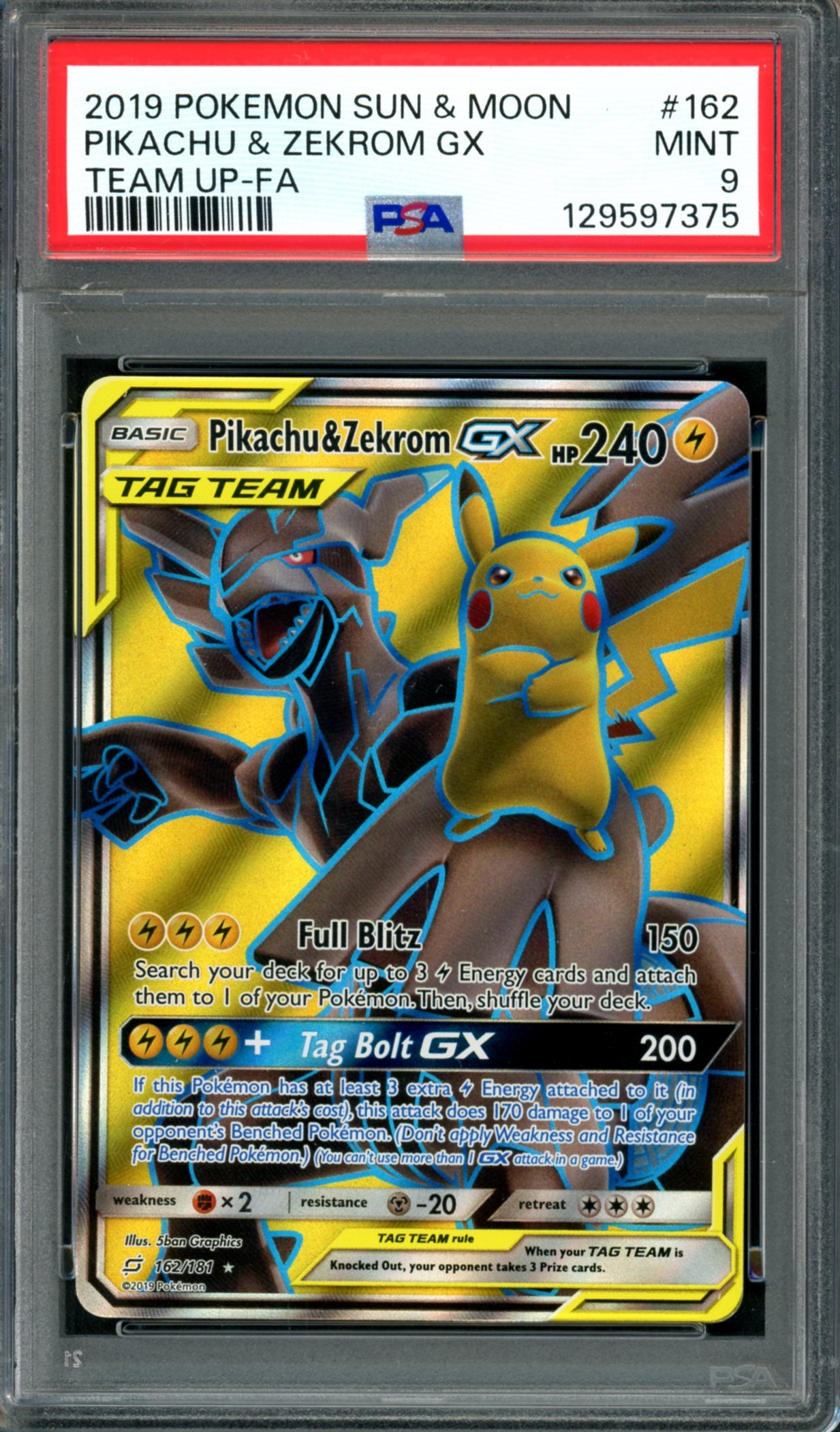 PSA 8 Pikachu & Zekrom GX (162/181) [Team Up]